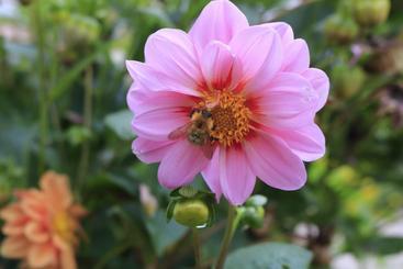 צימר Chambres D'hôtes Villa Mon Repos