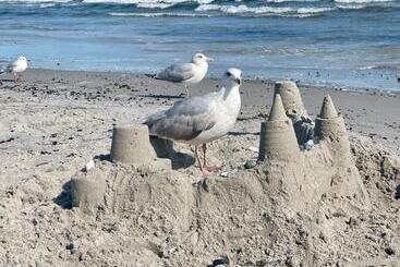 渡假胜地  Ferienanlage Süderhof