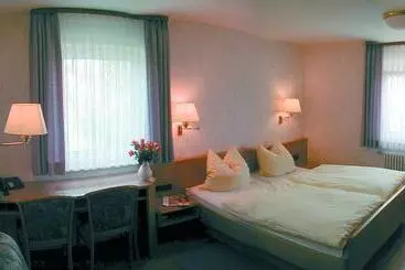 Hotel Pension Zum Grünen Wald