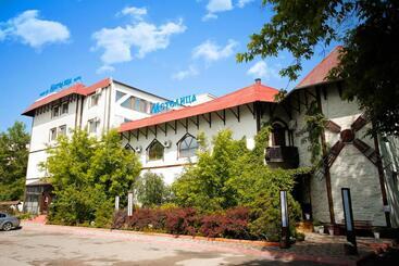 בית מלון כפרי Metelitsa