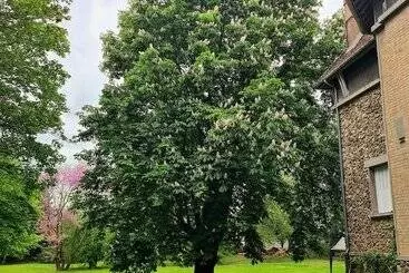 Majatalo Demeure Du Saule Madame