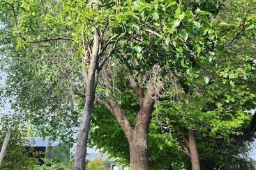 بيت ريفى Cabañas La Chacra