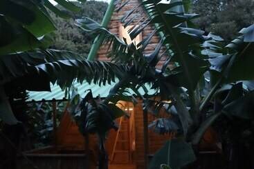 کلبه Banana Eco Camp