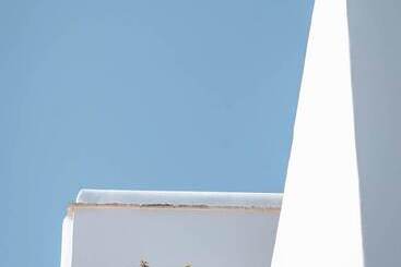 公寓式酒店 Living Blue In Tinos