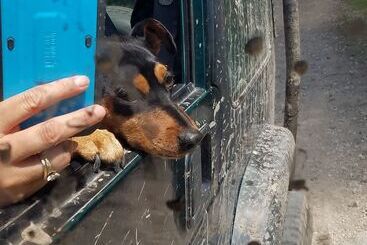 Vidéki Ház Liars Cove Resort