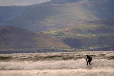 Hotel Ardree House B&b