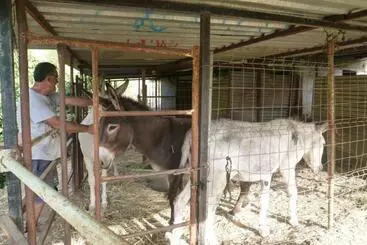 ベッドアンドブレックファースト Finca Los Burros