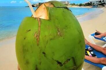 پانسیون Dee Retreat Villa Sxm