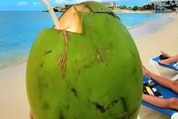 پانسیون Dee Retreat Villa Sxm