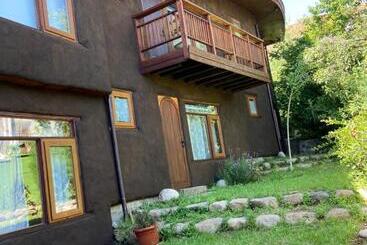 Bed and Breakfast Amelia Villarrica