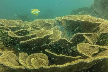 Bike And Tours Bed And Breakfast