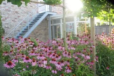 B&b Greenhouse 37