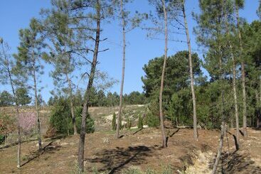 Quinta Do Medronheiro Hotel Rural