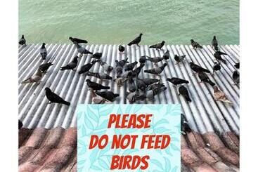 מלון דירות Seafront Corus Resort Port Dickson