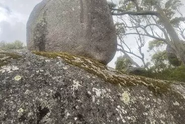 コテージ Adults  Retreat