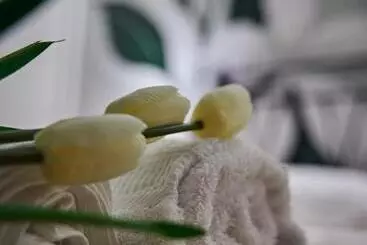 Bed and Breakfast Trinacria Caccamo   Luxury Rooms