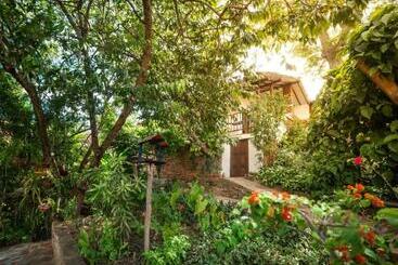 Hotel Masaya Achiotte Family Superior Room Colombia