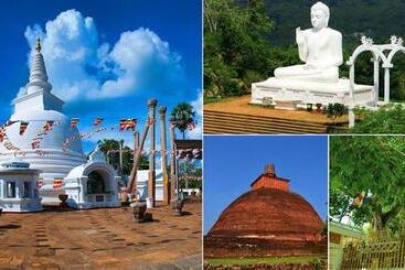 Pensionat Ari Paradise