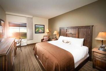 Отель Bass Pro Shops Angler S Lodge