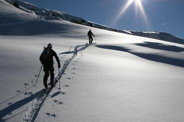 فندق Albergo Alpenrose Ski&bike Mountain