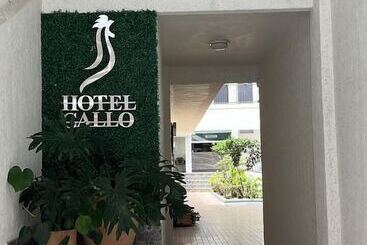 Hotel Gallo