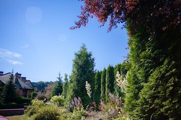 בית מלון כפרי Pansionat Bogema