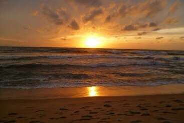 בית מלון כפרי Shanelo