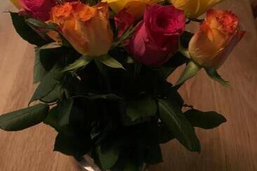 Stenholmens Gårdshotell