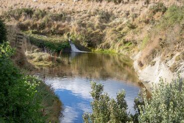 هاستل Old Bones Lodge