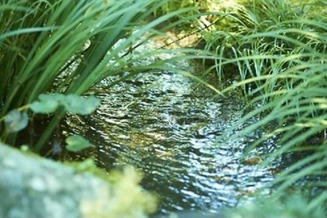 Рёкан Asono Yamaboshi