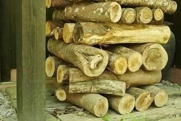 Ryokan Asono Yamaboshi