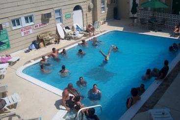 فندق على الطريق Desert Palm Inn