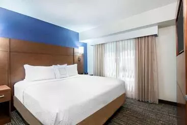 ホテル Residence Inn By Marriott Tampa At Usf/medical Center