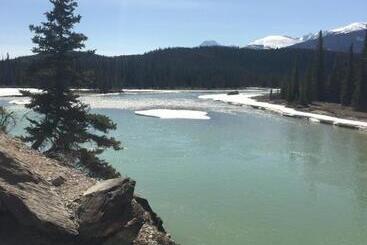 Panzió Greenwood Lodge