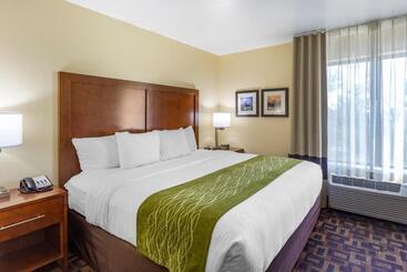 Отель Comfort Inn & Suites North Aurora   Naperville