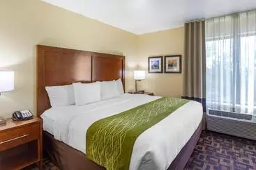 Hotelli Comfort Inn & Suites North Aurora   Naperville