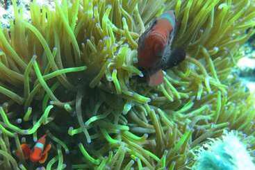 Pensió Pande Guest House