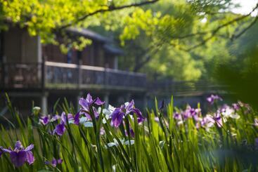 בית מלון כפרי Wu Village