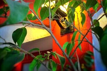 Primera Hacienda Hotel Boutique