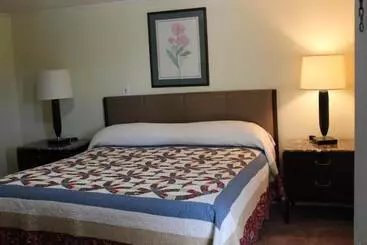 Motelli Royal Coach Motor Lodge