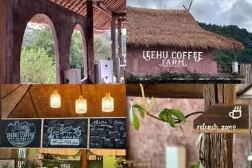 Leehu Coffee Farm