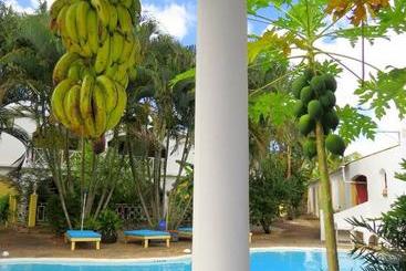 ホテル Estancia Playita Las Galeras