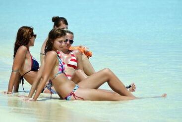 Hotelli Tropic Tree  Maldives