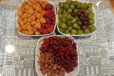 تختخواب و صبحانه Gården Mellan Slotten