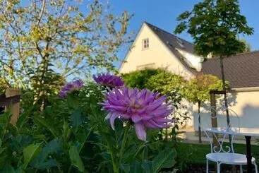 B & B Villa Dahlia