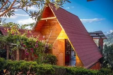 ホテル Cabañas Y Glamping Colinas De San Diego