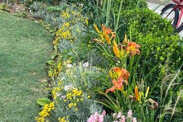 Bed and Breakfast Sb Home Stay