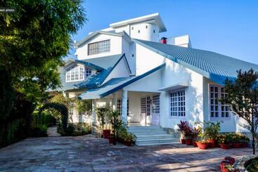 Pension Saffron Leaf W567