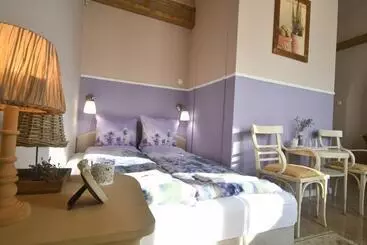 Bed and Breakfast Tulipán Villa Panzió
