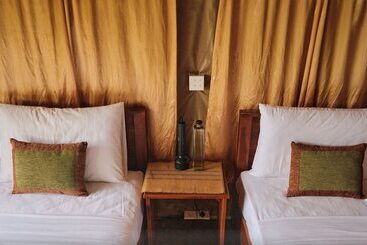 Hôtel Forest Lodge Eco Camp